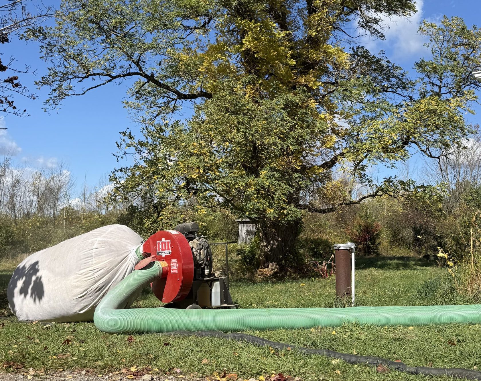 insulation removal services